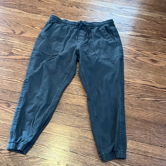 Athleta Pants - Farallon jogger from athleta in 14p